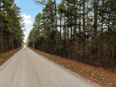 Fossil Cove Rd-12