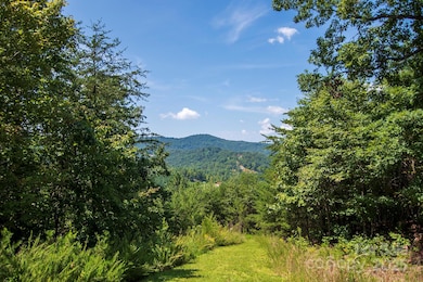 0 Pioneer Gate Dr unit 55, Bostic, NC 28018 - photo 3