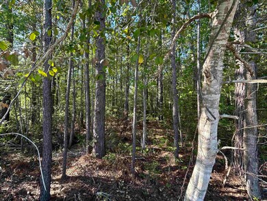 TBD Buck Dr, Georgetown, SC 29440 - photo 3