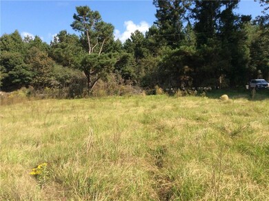 999 Hwy 436 None, Franklinton, LA 70438 - photo 4