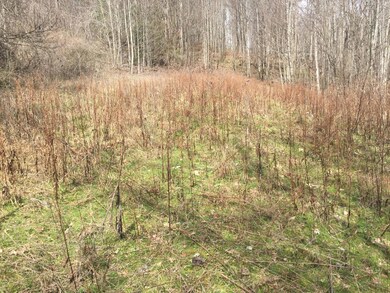 keene 5