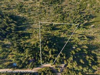 6880 Lupine Trail, Wilson, WY 83014 - photo 7