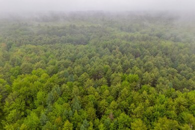 DJI_20240527113350_0026_D
