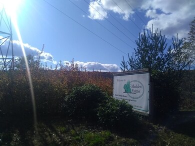 46 Madden Rd unit 53, West Brookfield, MA 01585 - photo 4