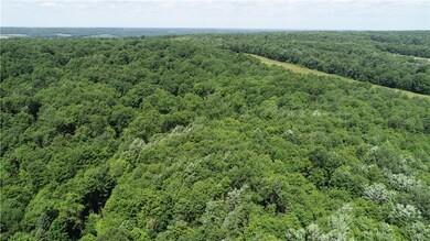 0 Agnew Rd, Conneautville, PA 16406 - photo 3