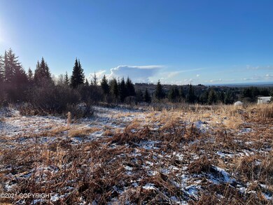 0000 Trail Rd, Anchor Point, AK 99556 - photo 2