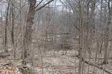 0 Havana V L Rd unit 50070534, Oakley, MI 48649 - photo 3