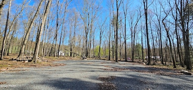 Lot 85 Perry Pond Rd, Tusten, NY 12764 - photo 5
