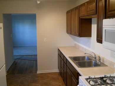 57 Birch St, Carpentersville, IL 60110 - photo 7