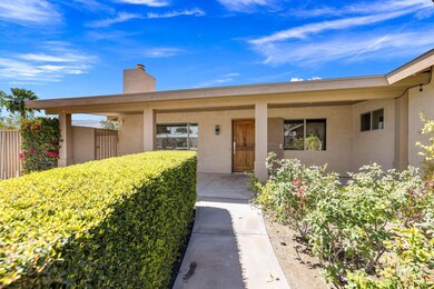 7-web-or-mls-AM4A0456