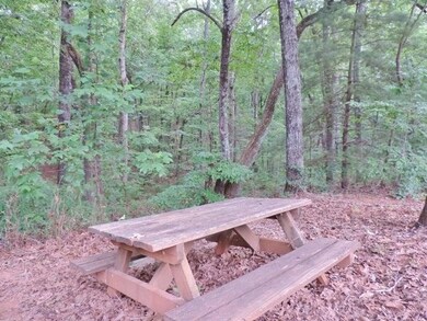 335 Falcons Nest Rd, Walhalla, SC 29691 - photo 6