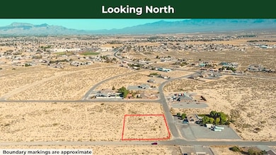 2730 S Olvido Ave, Pahrump, NV 89048 - photo 3