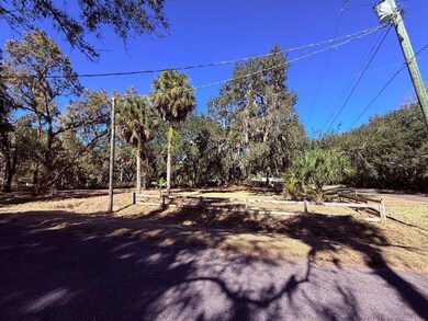 1204 Davies Rd, Brandon, FL 33511 - photo 4