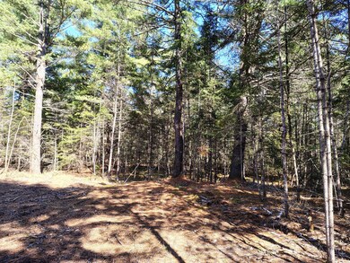 IMG_20250505_152201242_HDR