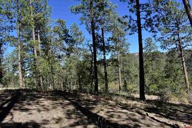 733 Red Canyon Trail, Durango, CO 81301 - photo 2