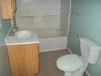 308 N Cleveland Ave, Galien, MI 49113 - photo 4