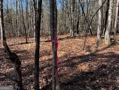 1200 Roy Powers Rd, Cleveland, GA 30528 - photo 6