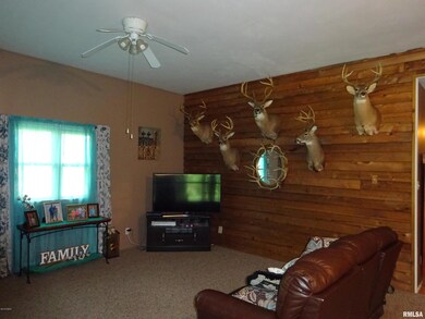 910 Lewis Rd, Harrisburg, IL 62946 - photo 2