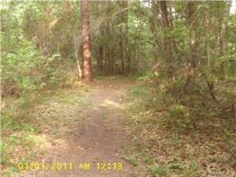 Path to creek