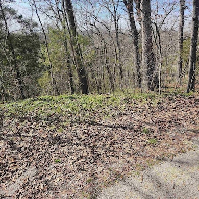 L-3, B-24 Algonquin Cir, Cherokee Village, AR 72529 - photo 3