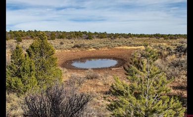 11204 Colorado 141, Egnar, CO 81325 - photo 6