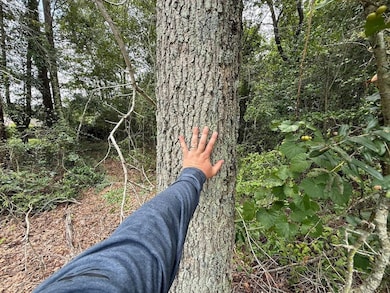 Summer Dr unit LotWP002, Barnwell, SC 29812 - photo 2