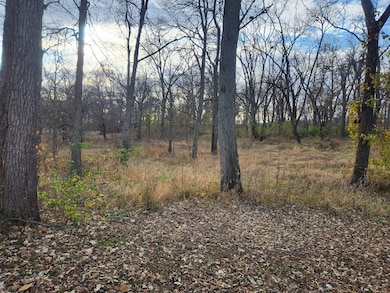 302 S Walnut St, Colfax, IL 61728 - photo 3