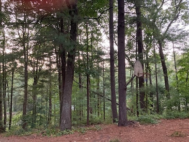 69,71,73 Seminole Rd, Acton, MA 01720 - photo 2