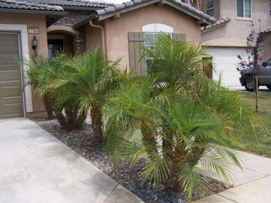 Palm Tree Line Approach To The Home