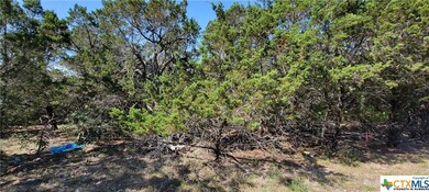 15987 Salado Dr, Temple, TX 76502 - photo 7