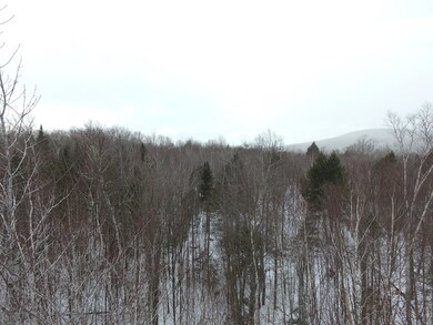 DJI_0005
