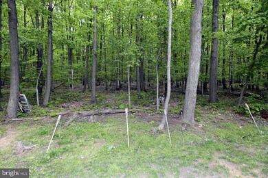 21111 Hickory Forest Way, Germantown, MD 20876 - photo 3