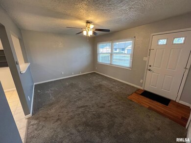 728 Bryan Ave, Lincoln, IL 62656 - photo 4