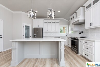 16172 Charlya Dr, Temple, TX 76502 - photo 4