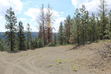 Badger Lot 1&2 Sontag Ridge Ln, Davenport, WA 99122 - photo 7