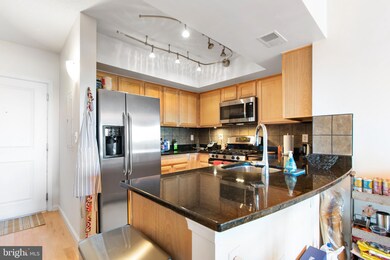 The Aurora Condominiums unit 1008, Silver Spring, MD 20910 - photo 7