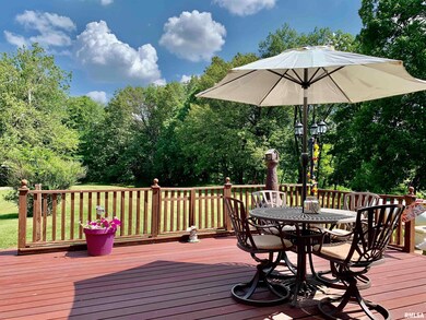 1649 Wolf Rd, Chapin, IL 62628 - photo 6