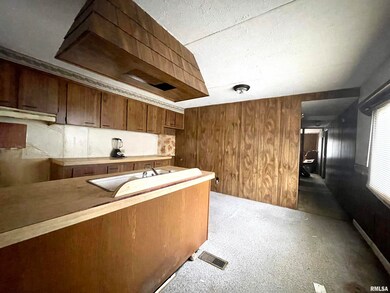 407 Marsh St, Harrisburg, IL 62946 - photo 7