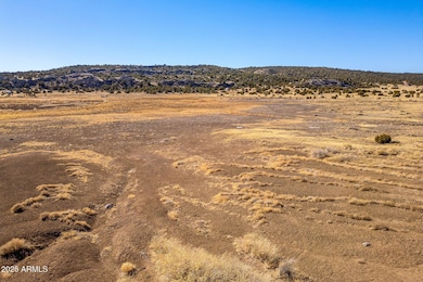 Show Low Pines Unit 5 Lot 320 -- unit 320, Concho, AZ 85924 - photo 7