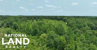 0 Lindsey Rd unit 25760188, Eclectic, AL 36024 - photo 6