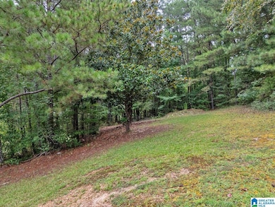 3736 Tidwell Hollow Rd, Oneonta, AL 35121 - photo 7