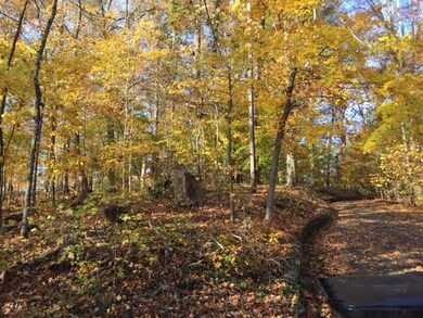 Wooded View