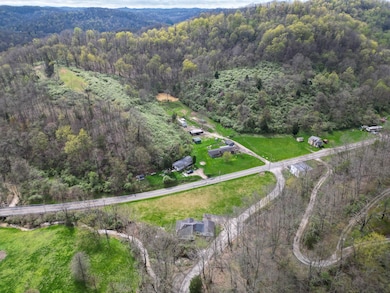 2008 Bear Creek Rd, West Hamlin, WV 25571 - photo 3