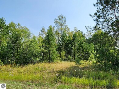 TBD Snowridge Trail, Elmira, MI 49730 - photo 6