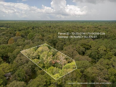 40 Nancy Allen St, Crawfordville, FL 32327 - photo 5