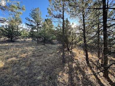 Lot 35 Stephens Dr, Westcliffe, CO 81252 - photo 7