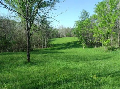 2 Hoophole Rd, Lawrenceburg, KY 40342 - photo 4