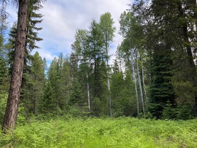 139 Graham Grove Ln, Trout Creek, MT 59874 - photo 2