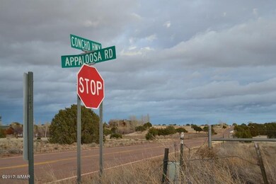 DSC_0362 (800x533)