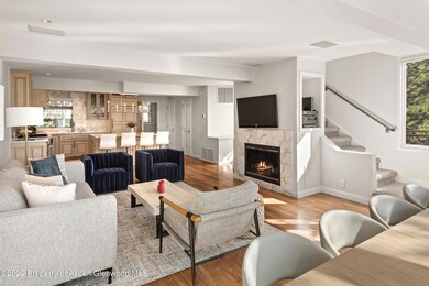 100 N 8th St unit 23, Aspen, CO 81611 - photo 4